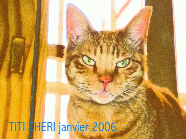 Déjà neuf ans d `amour passion